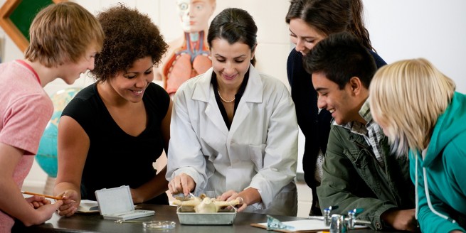 Super Science Saturdays! What's shakin' bacon? Conducting a fetal pig autopsy while learning about human anatomy. image