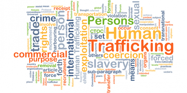 Advocate Health Anti-Human Trafficking Healthcare Symposium image
