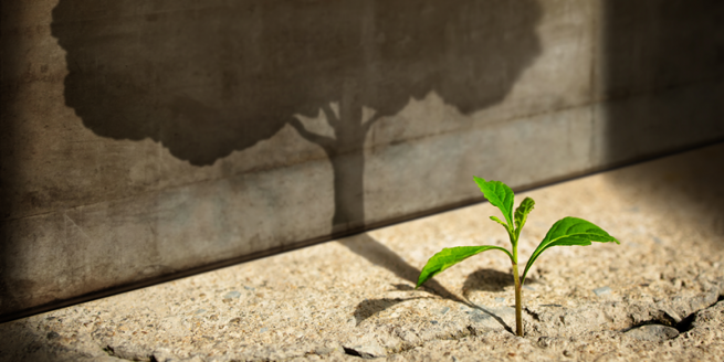 Thriving Through Change: Restoring Resilience in Tumultuous Times image