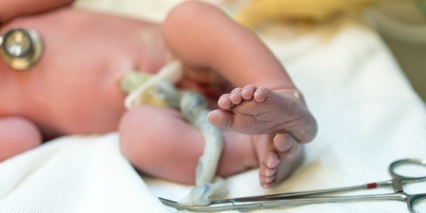 Cord Blood Conference 2025 image