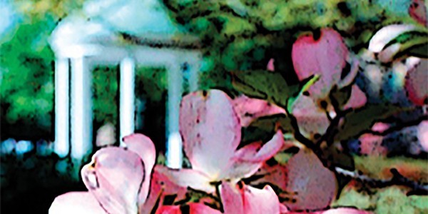 50th Annual Internal Medicine Conference image