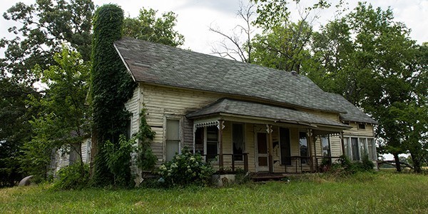 Child Maltreatment - Abuse, Neglect, and Dependency image