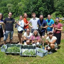 Yancey community garden