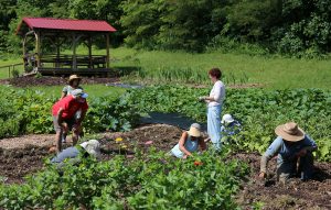 MAHEC interns